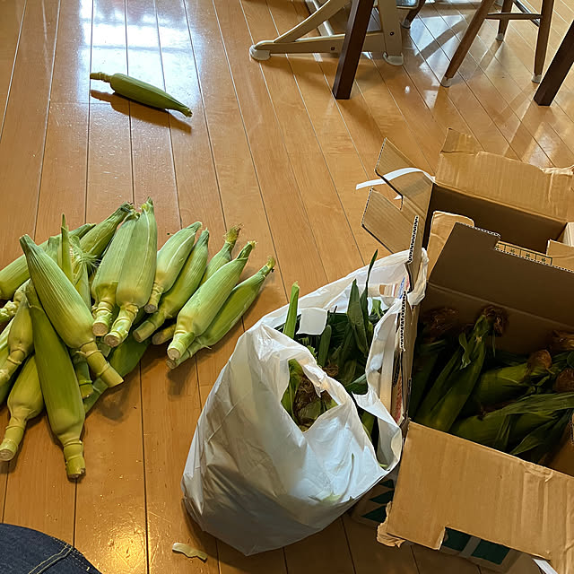 koshiregutyoさんの実例写真