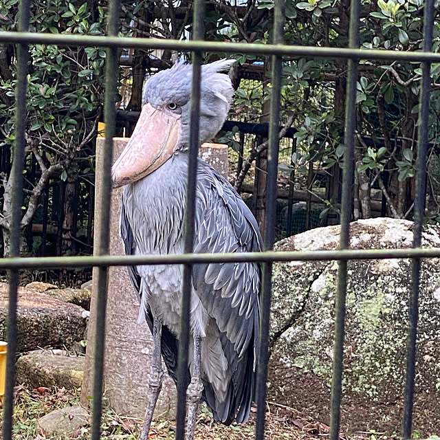 ohanaさんの部屋