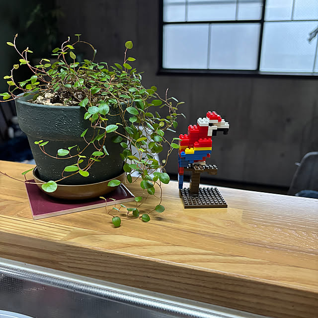 omasaさんの実例写真