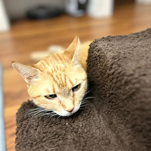 mikeume7さんの部屋
