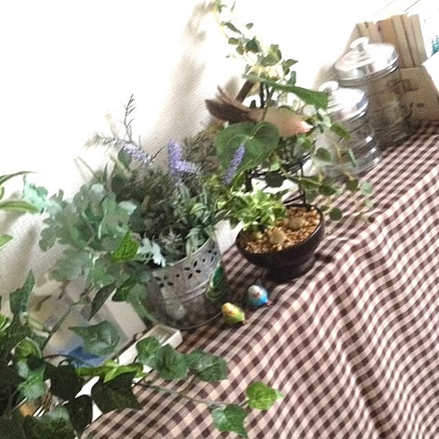 Rieさんの実例写真