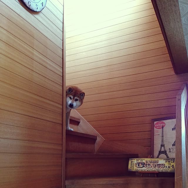 Hanaさんの実例写真