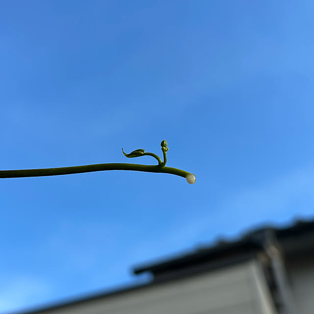 fumikoiさんの部屋