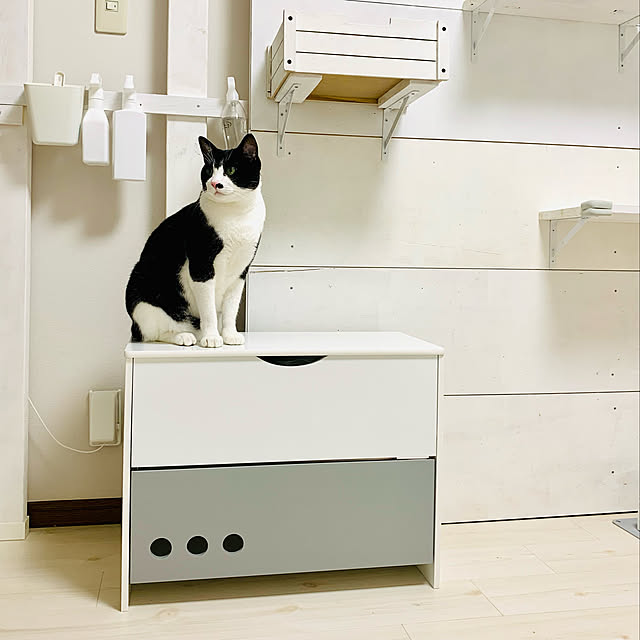 kanaさんの実例写真