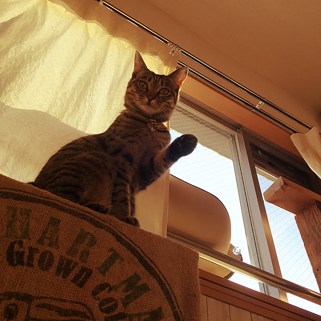 Mさんの実例写真