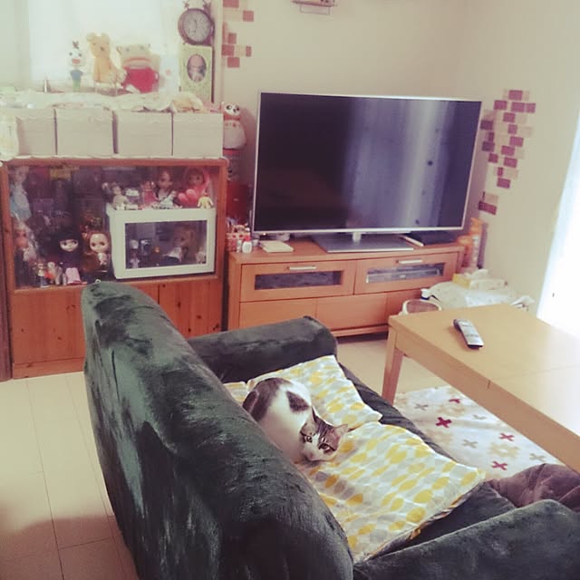 実例写真