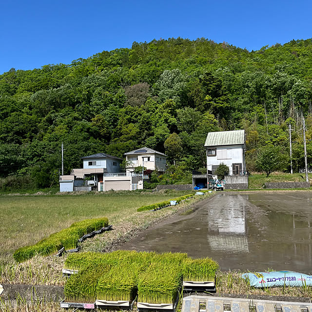 cota2さんの部屋
