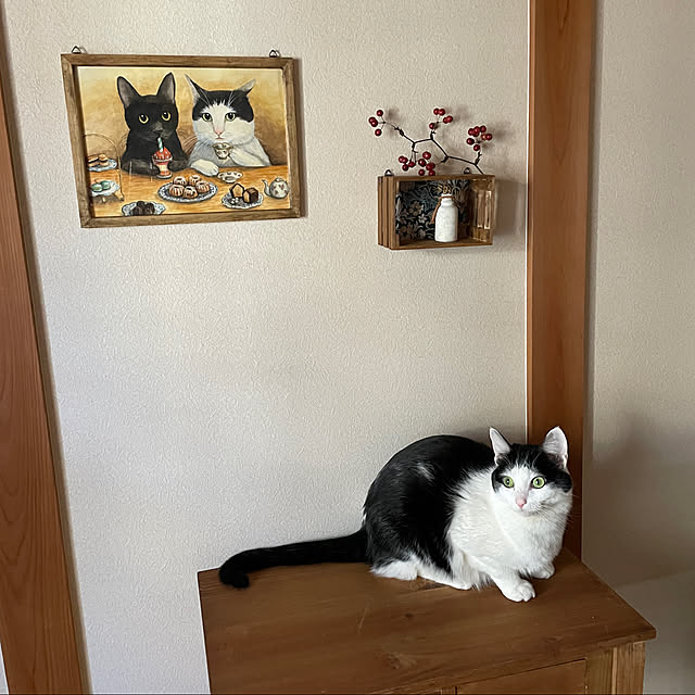 harukaさんの実例写真