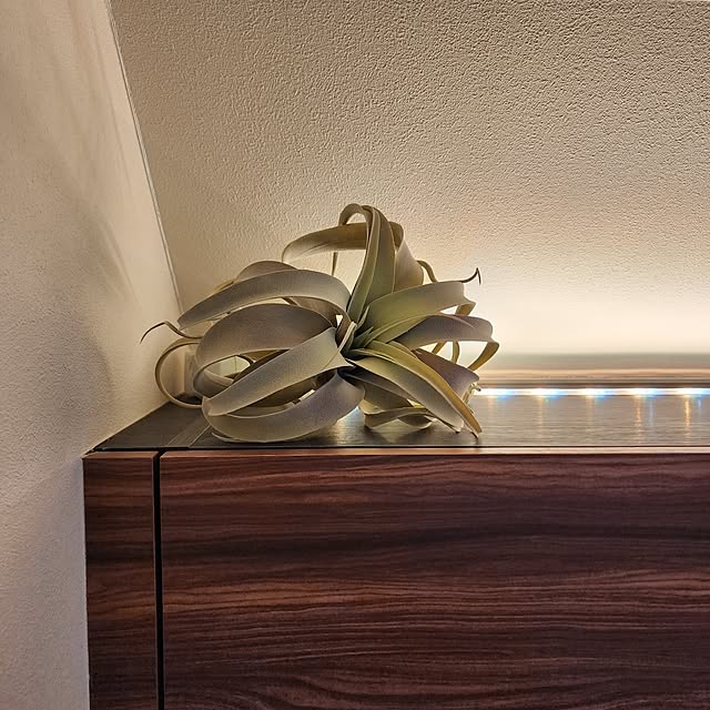 75さんの部屋