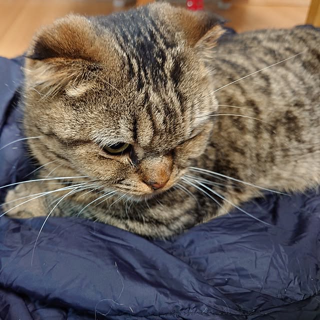 noguriさんの実例写真