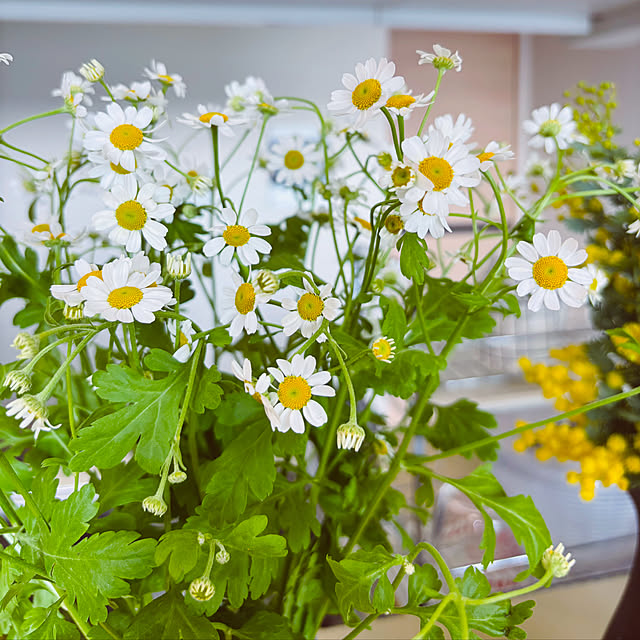 LoveMさんの部屋