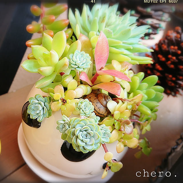 chero.さんの実例写真