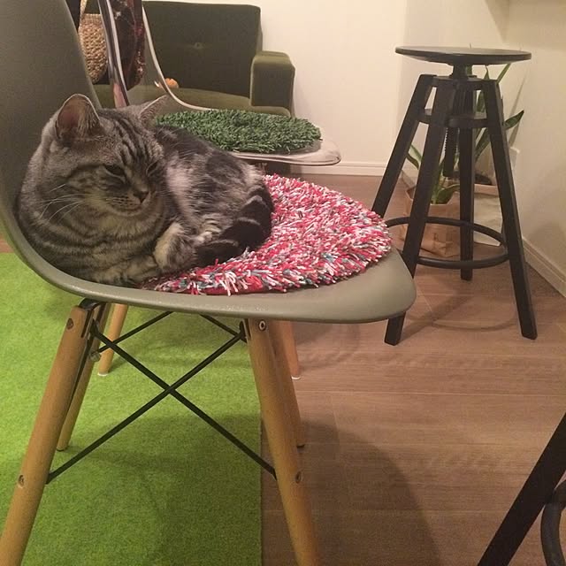 mikomaruさんの実例写真