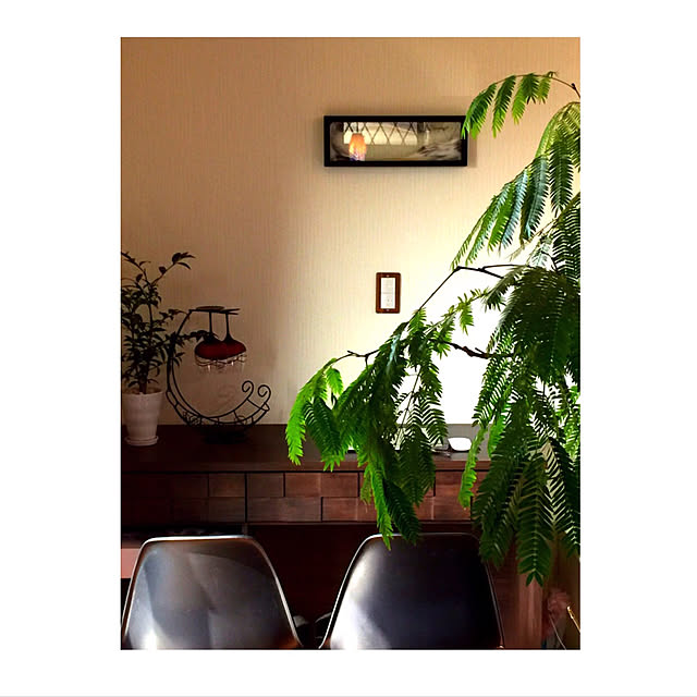 Miho.Tさんの実例写真