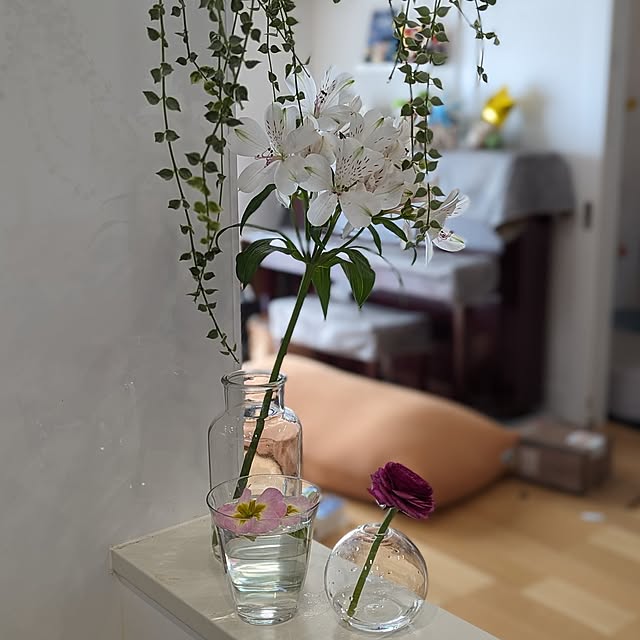 tomatopapaさんの部屋