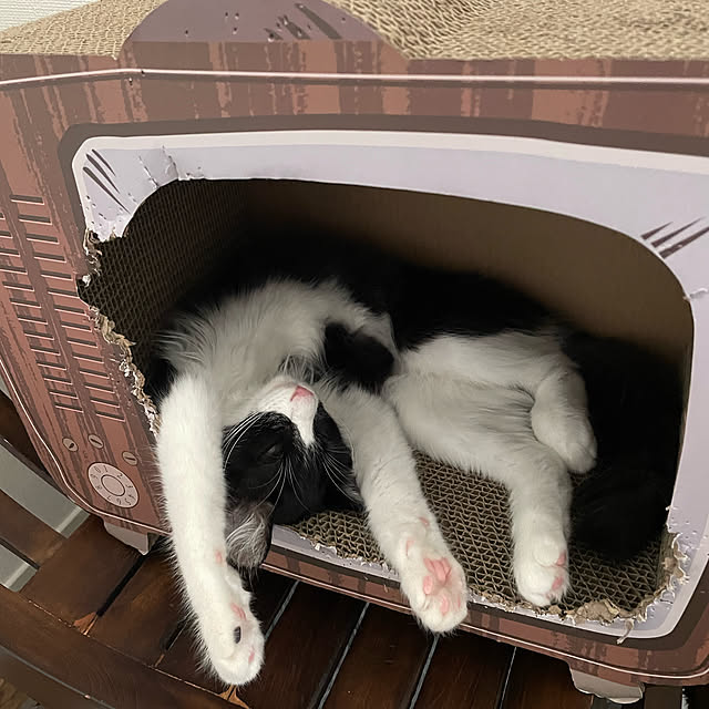 実例写真