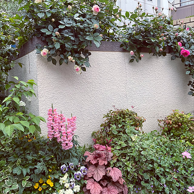 miwarinさんの実例写真