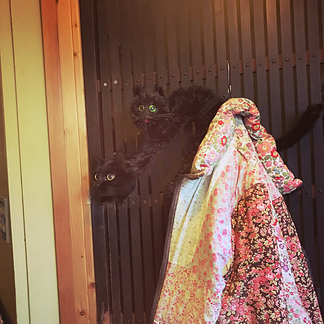 neko-2.2.2runmuさんの実例写真