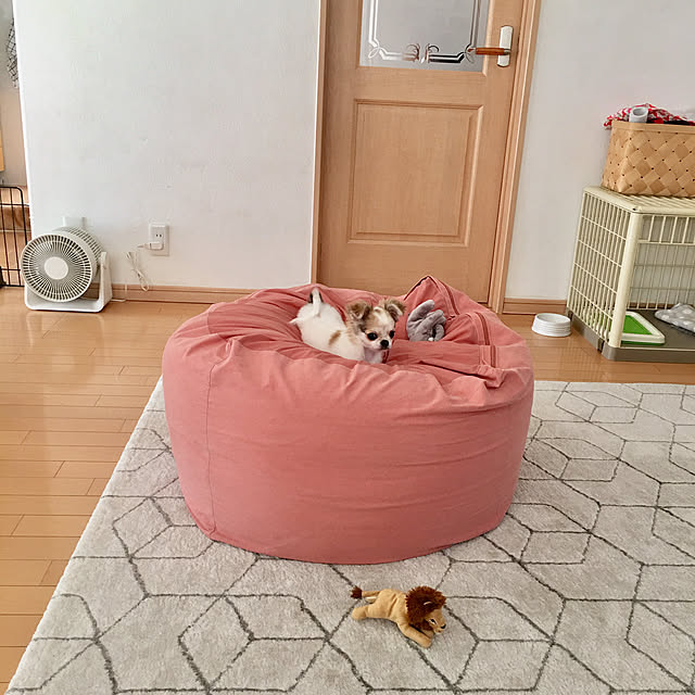 haritakaさんの実例写真