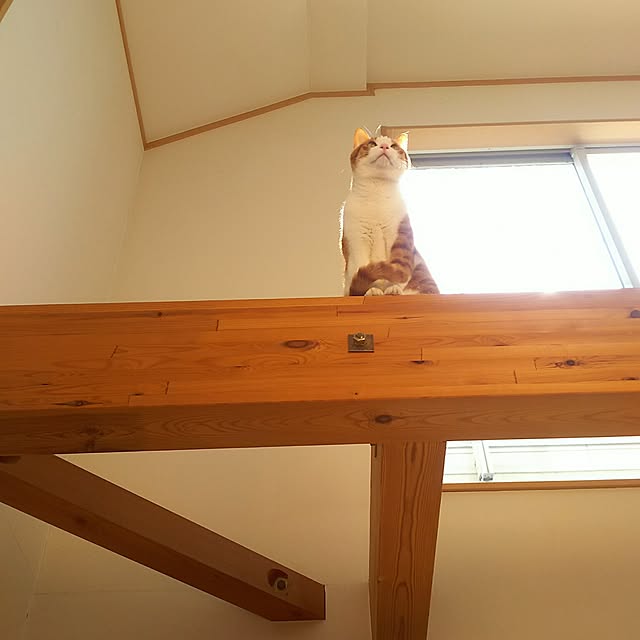tamacharouさんの実例写真