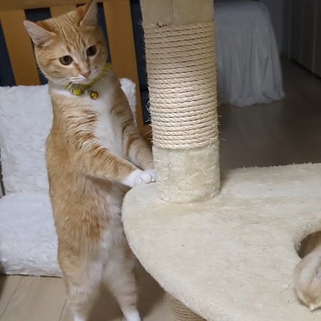 minnieさんの部屋