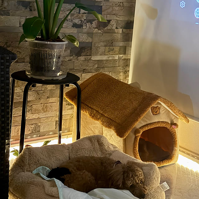 MOMOMAMAさんの部屋