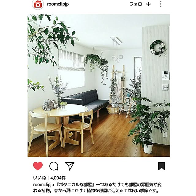 moniさんの実例写真
