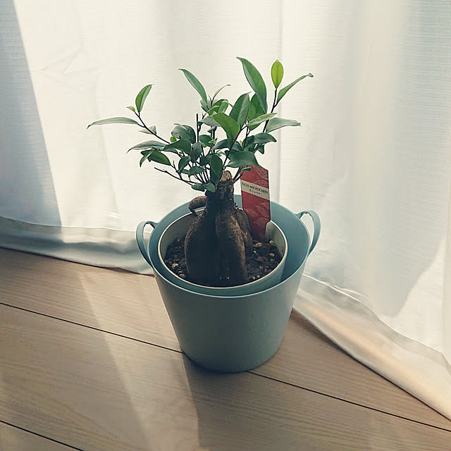 nanさんの実例写真