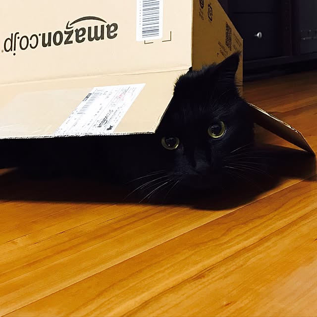 minamiさんの実例写真