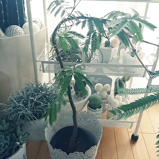 mhkさんの実例写真