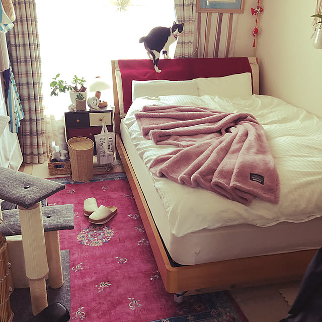 mikenekoさんの実例写真