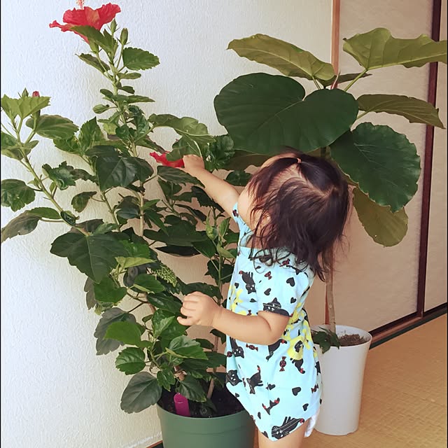 riaさんの実例写真