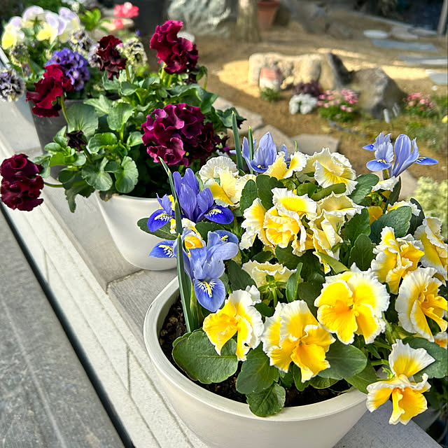 violetさんの実例写真