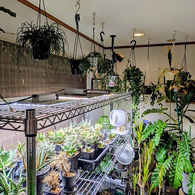 ot-gardenさんの部屋