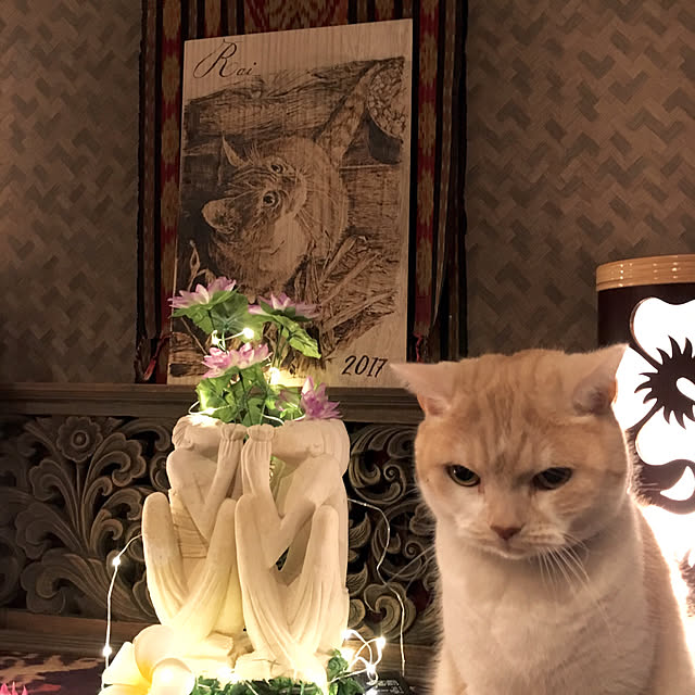 aiaiさんの実例写真