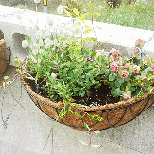 aiuekkoさんの実例写真