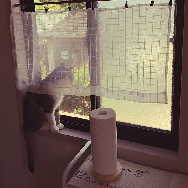 youkoさんの実例写真