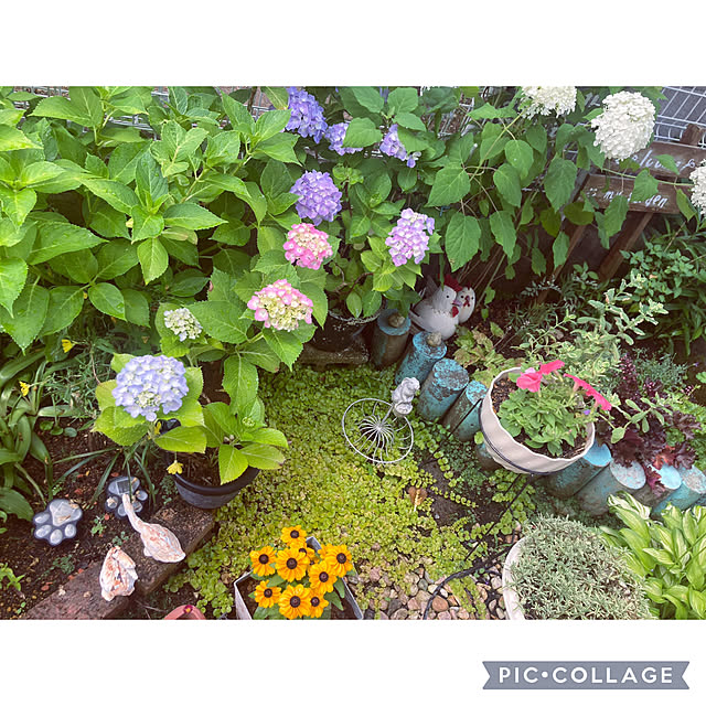 CoCo0617さんの部屋