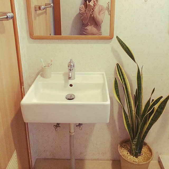 coraruさんの実例写真
