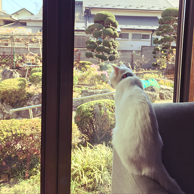 Na0514さんの実例写真
