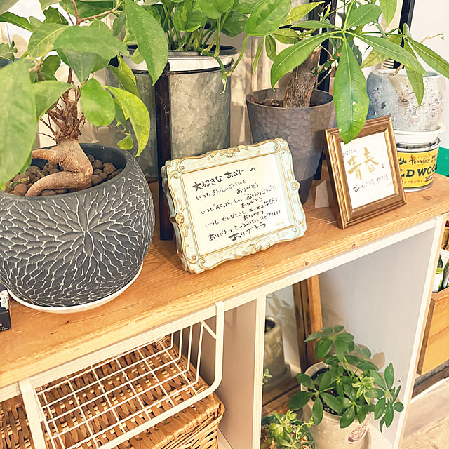 hirariさんの実例写真