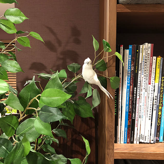 natsumama6566さんの実例写真