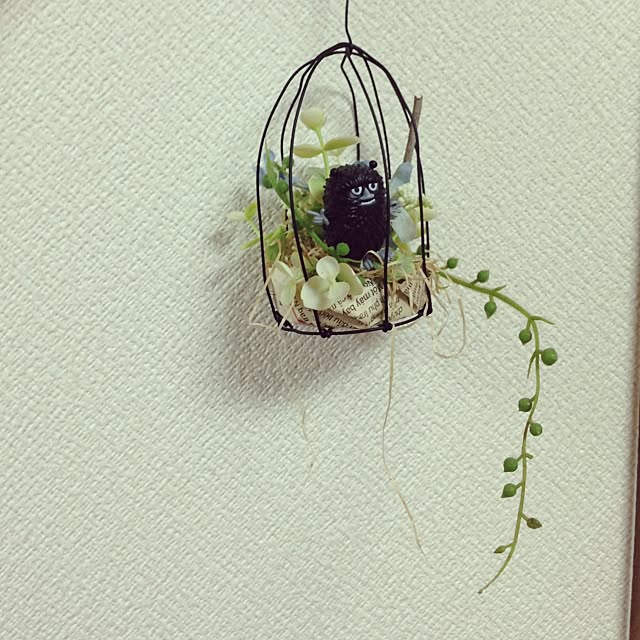 umariさんの実例写真