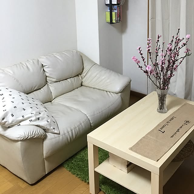 miuさんの実例写真