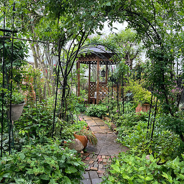 Royal_Gardeners_Clubさんの部屋