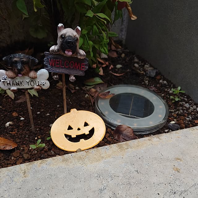 naoさんの実例写真