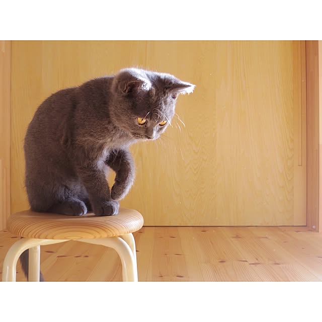 agtpd8462さんの実例写真