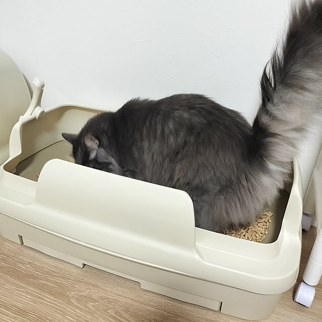 asukaさんの実例写真
