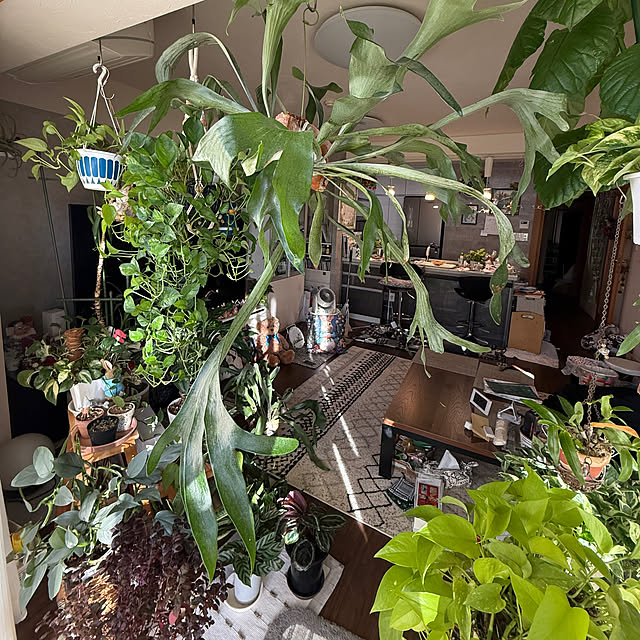 Aqettyさんの部屋