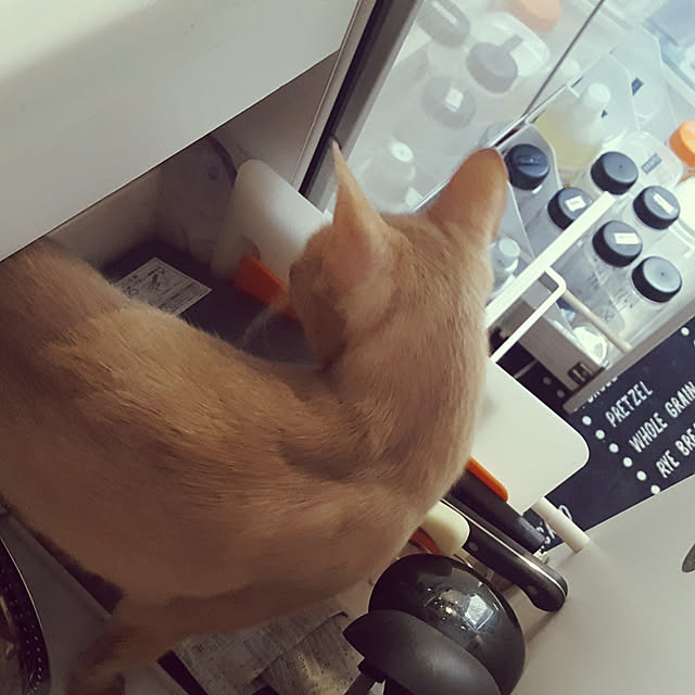 megu.catさんの実例写真